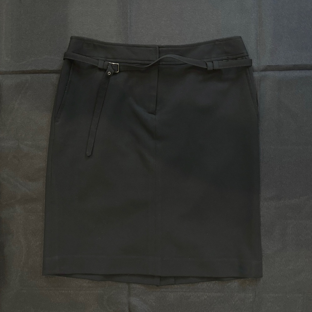 Ann Taylor skirt